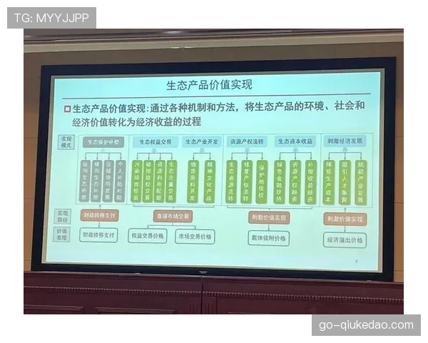 体育商业生态本季度加速向体验经济转型，推动价值重心从交易转向服务。
