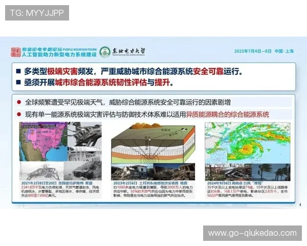 战略韧性规划应对不确定性，保障长期发展